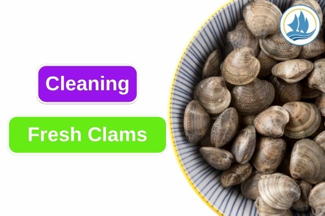 How To Clean Fresh Clams Properly